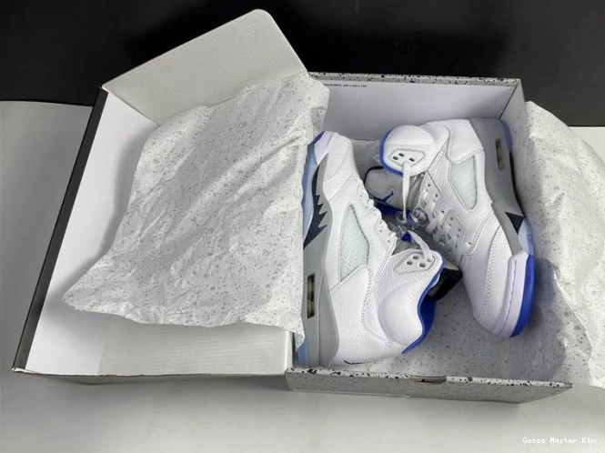 Stealth Air 5 (2021) Jordan White DD0587-140 Retro 0819